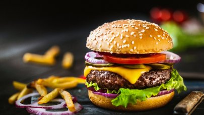  hamburger-alimentations-fast-food