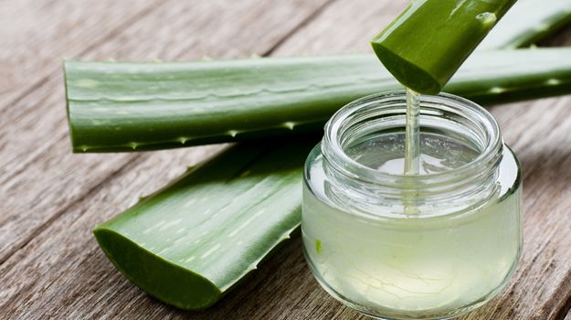 aloe-vera