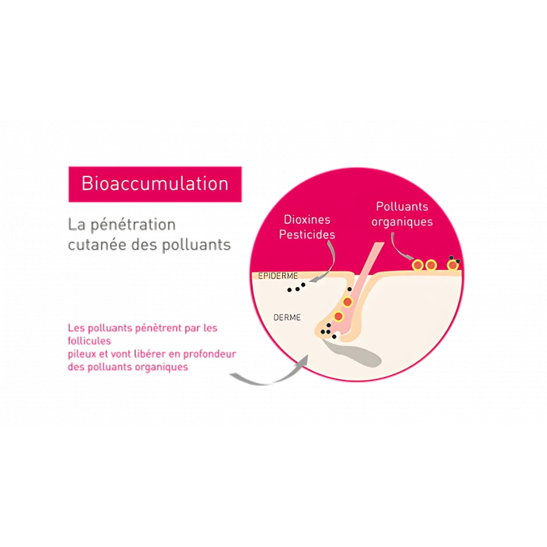 bioaccumulation