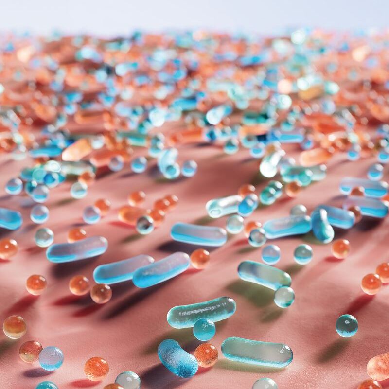 Le microbiome au microscope