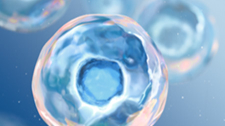 Cellular protection image