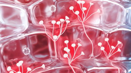 Inflastop™ technology image