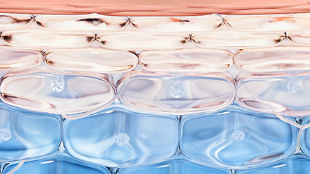 Principe de NOn DEtergence - Nodé