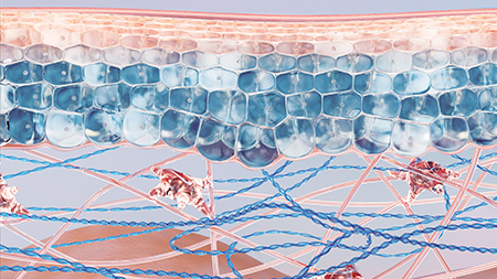 Toleridine™ patent image