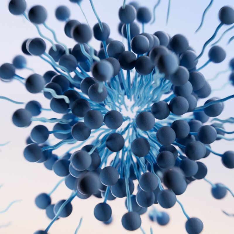 Micelles dans l’eau micellaire