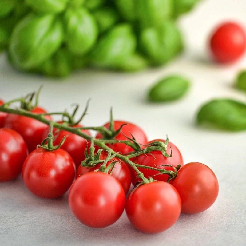 Alimentation pour les enfants atopiques