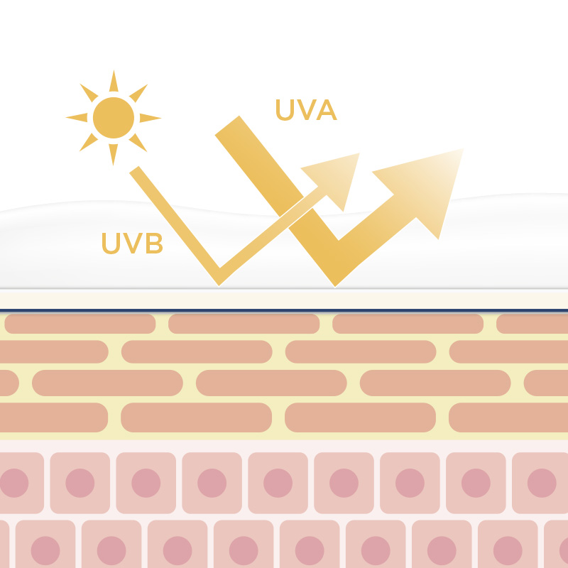peau et soleil Schéma UVA UVB