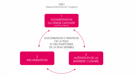 Schéma stress oxydatif