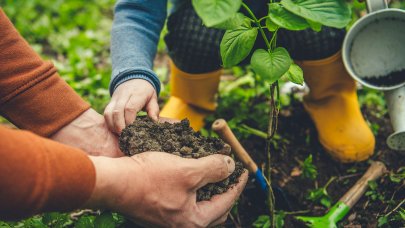 activités manuelles jardinage