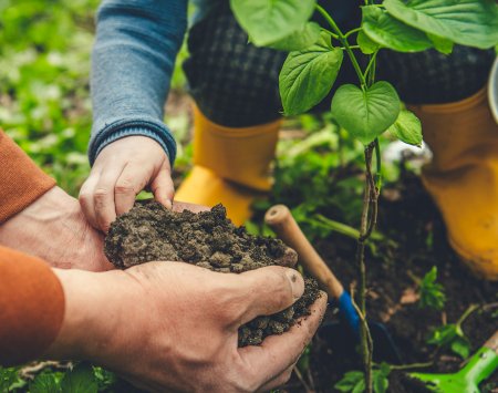 activités manuelles jardinage